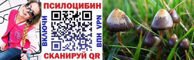 Галлюциногенные грибы прущие грибы  дарнет шоп  Пермь 